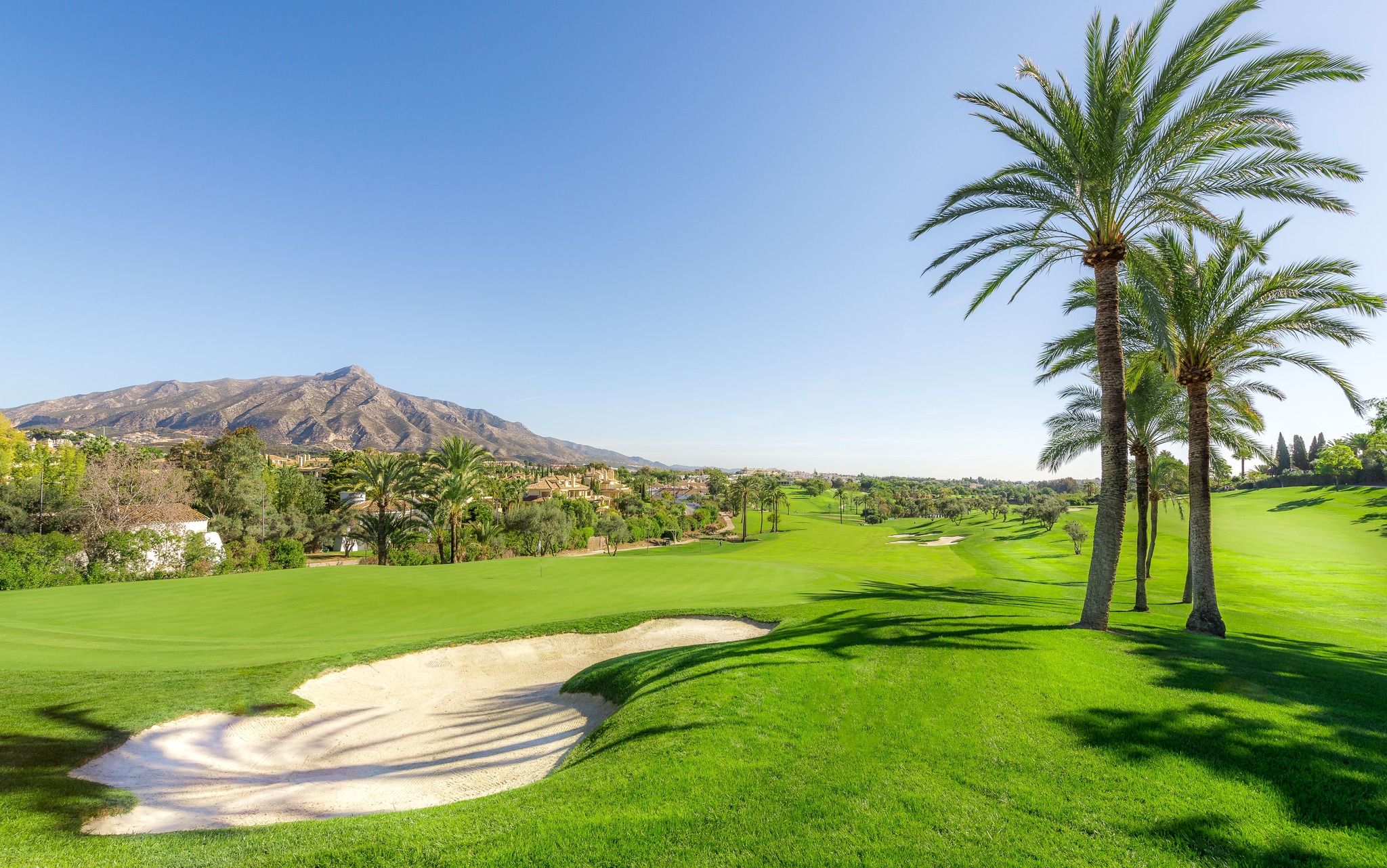 The Three Types of Marbella Buyers – Which One Are You?