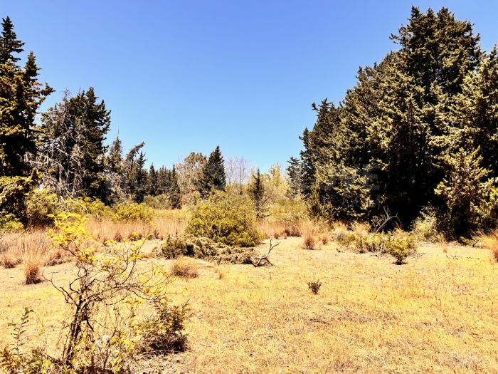 Hotel Use Plot for Sale in Estepona