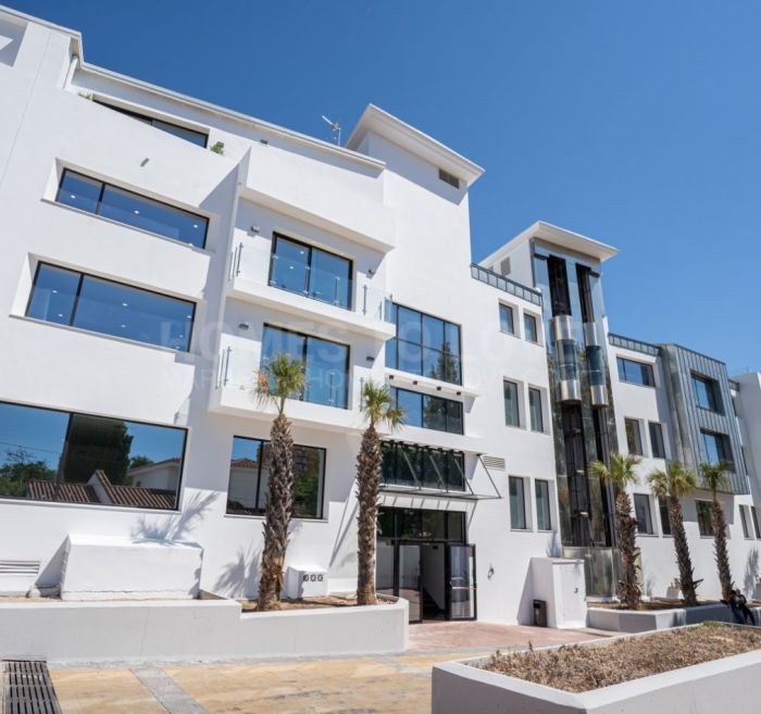 Investment Opportunity: Premium Commercial Property with Established Tenants