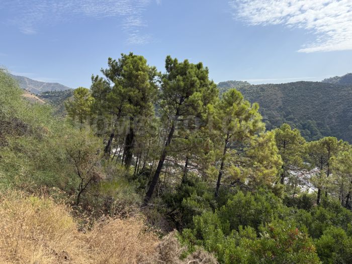 Unique Opportunity – Unconsolidated Urban Land in Benahavís with Spectacular Views