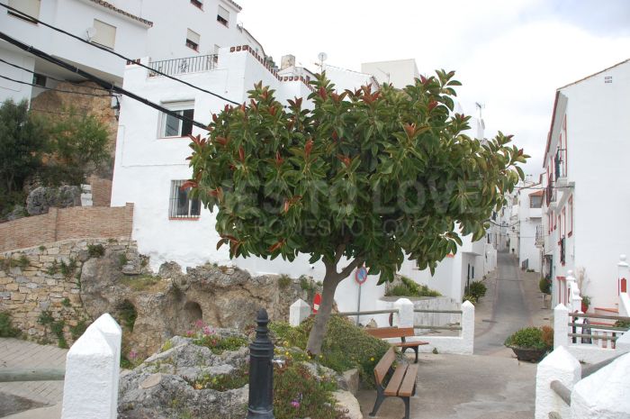 Encantadora casa de pueblo en el pintoresco pueblo blanco de Casares Pueblo