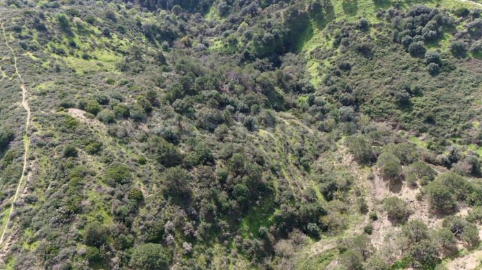 Strategisches Grundstück (Rustikalland) in Estepona mit 360º-Panoramablick und hohem Entwicklungspotenzial
