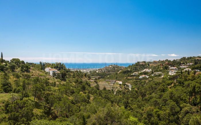 Set of 8 Urban Plots in El Madroñal