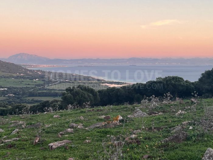 Plot in Tarifa
