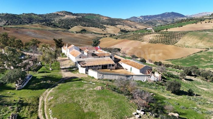 Ferme à vendre à Villanueva de la Concepción