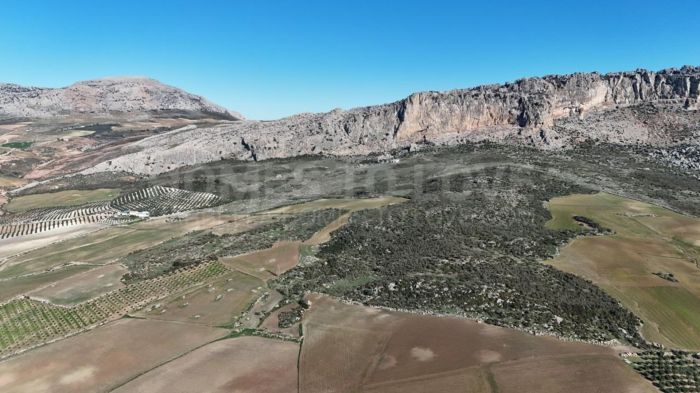 Ferme à vendre à Villanueva de la Concepción