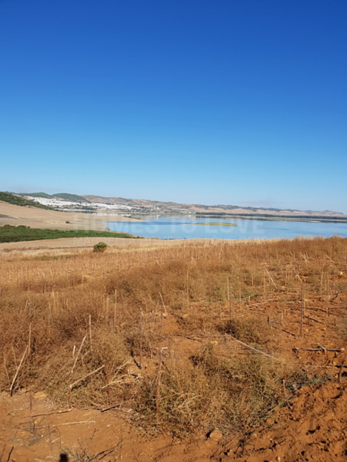 TERRENO PARA LA VENTA EN CADIZ